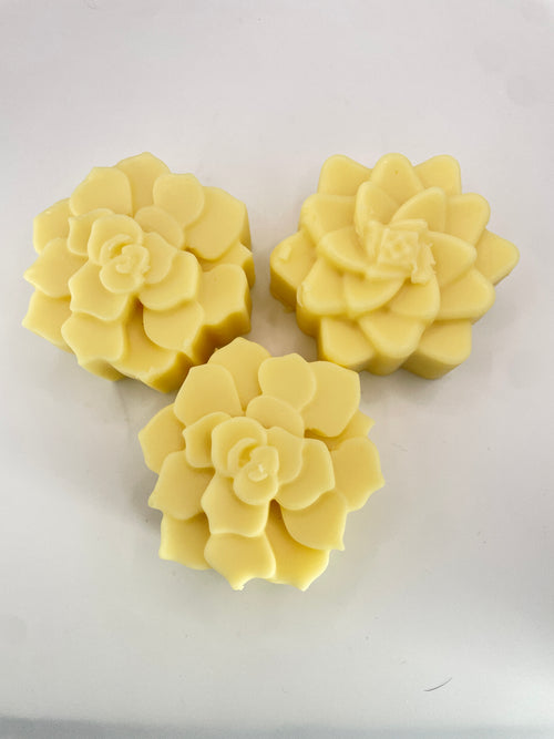 The Energizer| Lemongrass Shea Butter Lotion Bar | Moisturizing Solid Body Balm | Natural Plastic-Free & Non-Toxic