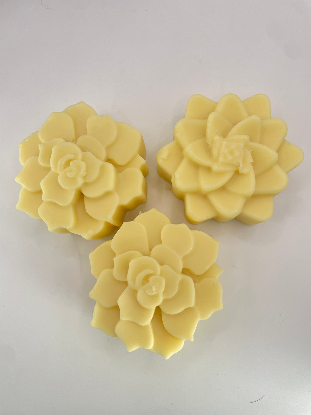 The Energizer| Lemongrass Shea Butter Lotion Bar | Moisturizing Solid Body Balm | Natural Plastic-Free & Non-Toxic