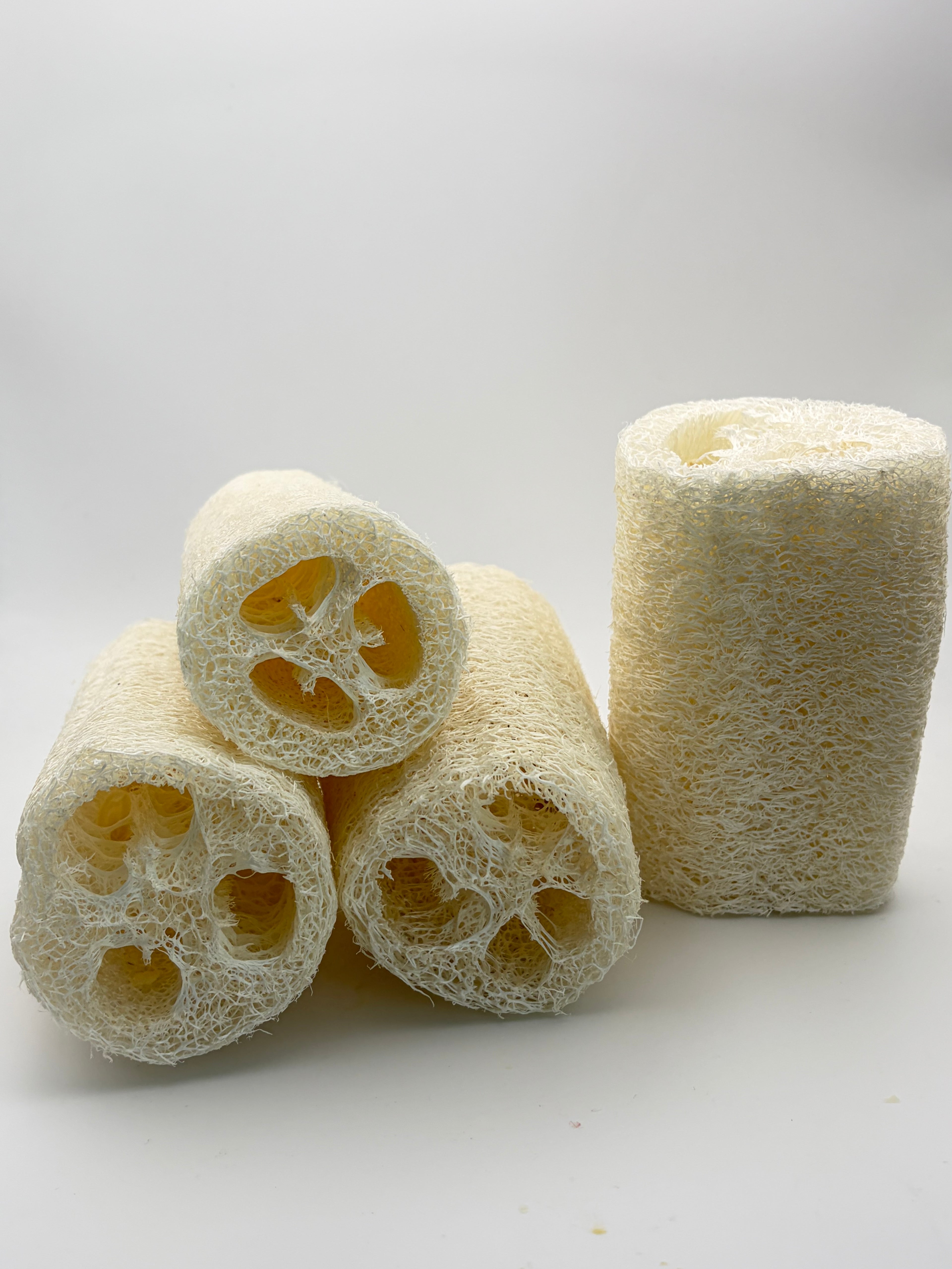 Loofah Sponge | Organic Gourd | Biodegradable