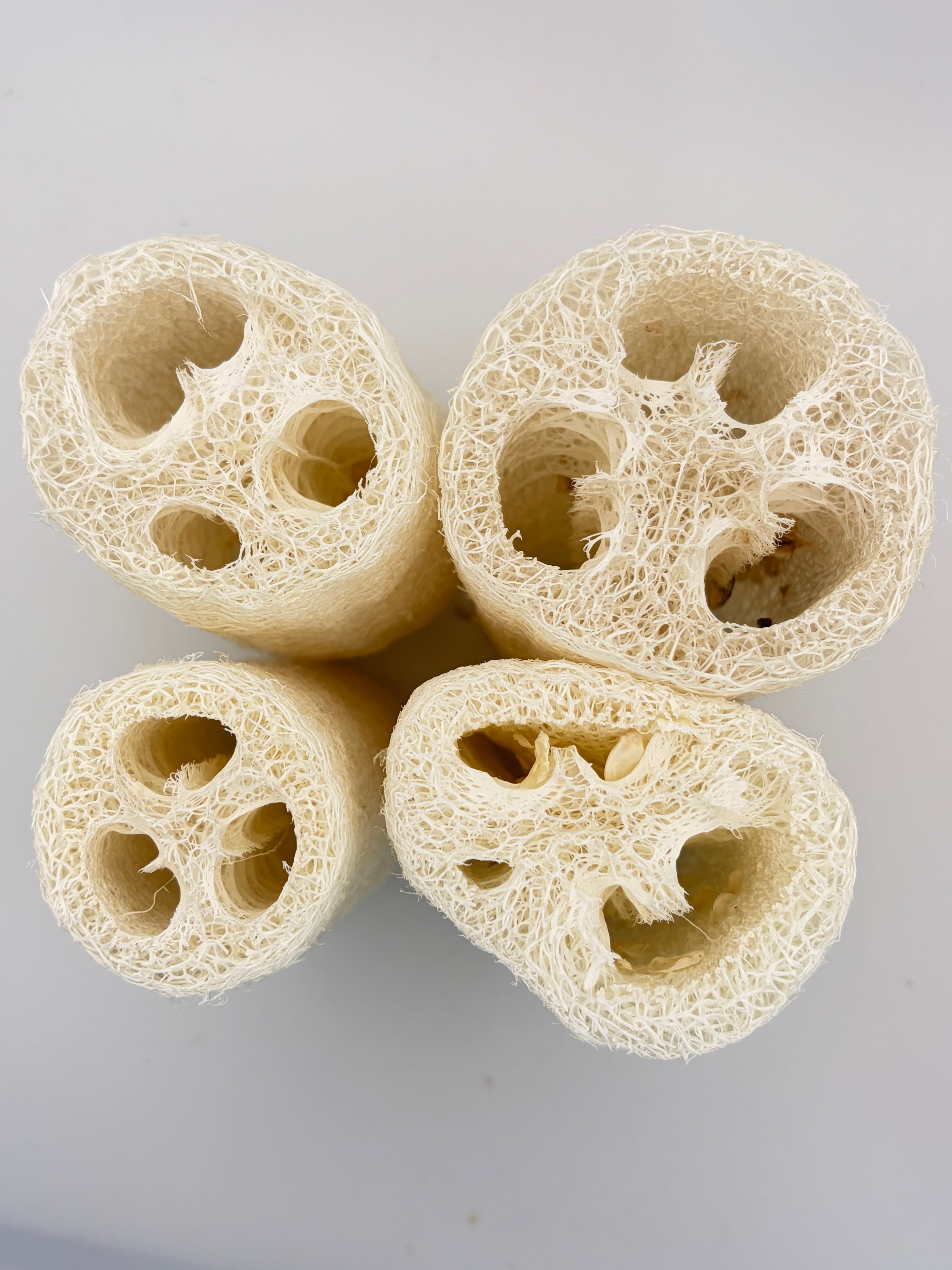 Loofah Sponge | Organic Gourd | Biodegradable